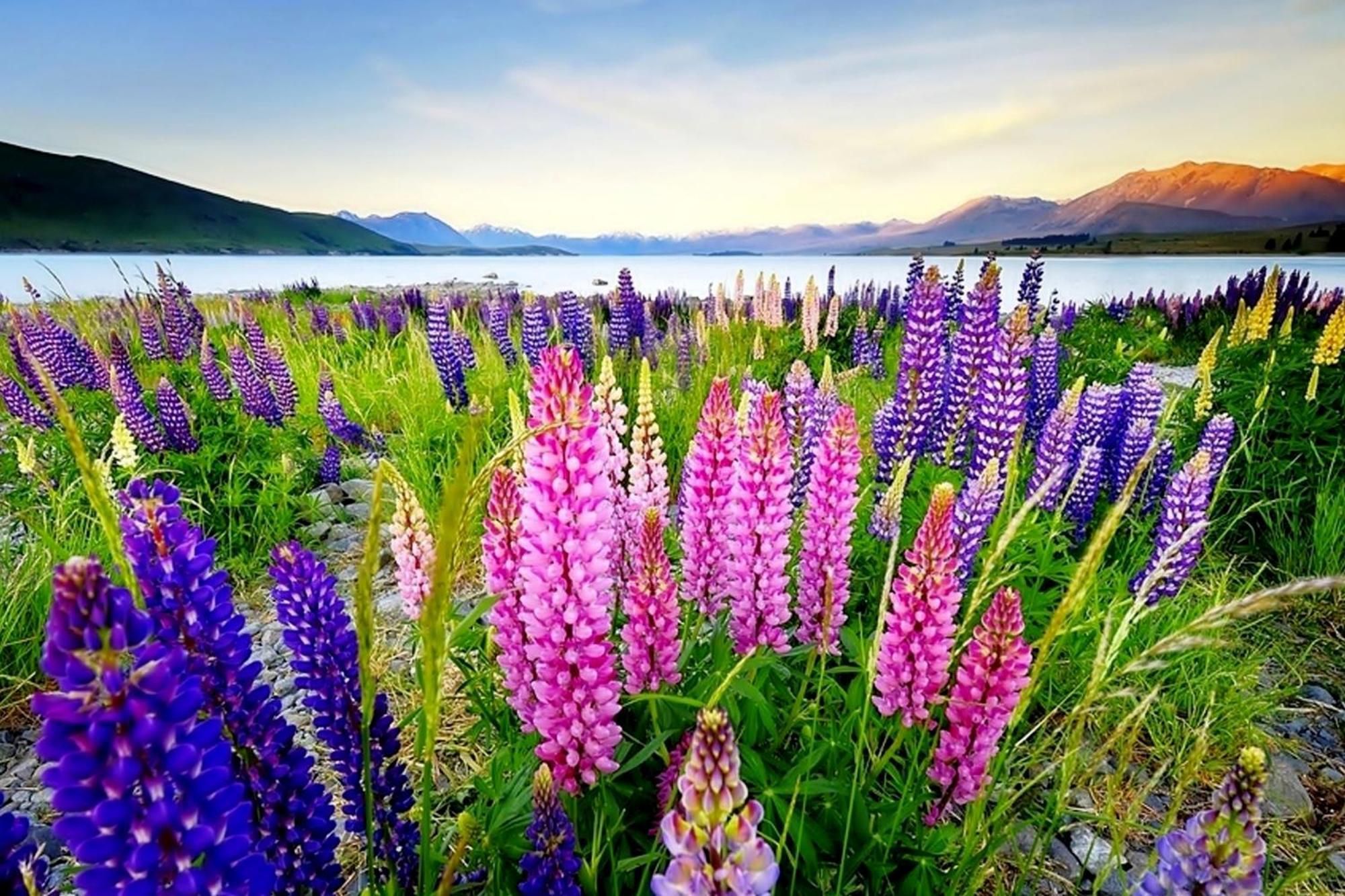 Tekapo1929 Lakefront Villa Lake Tekapo Εξωτερικό φωτογραφία