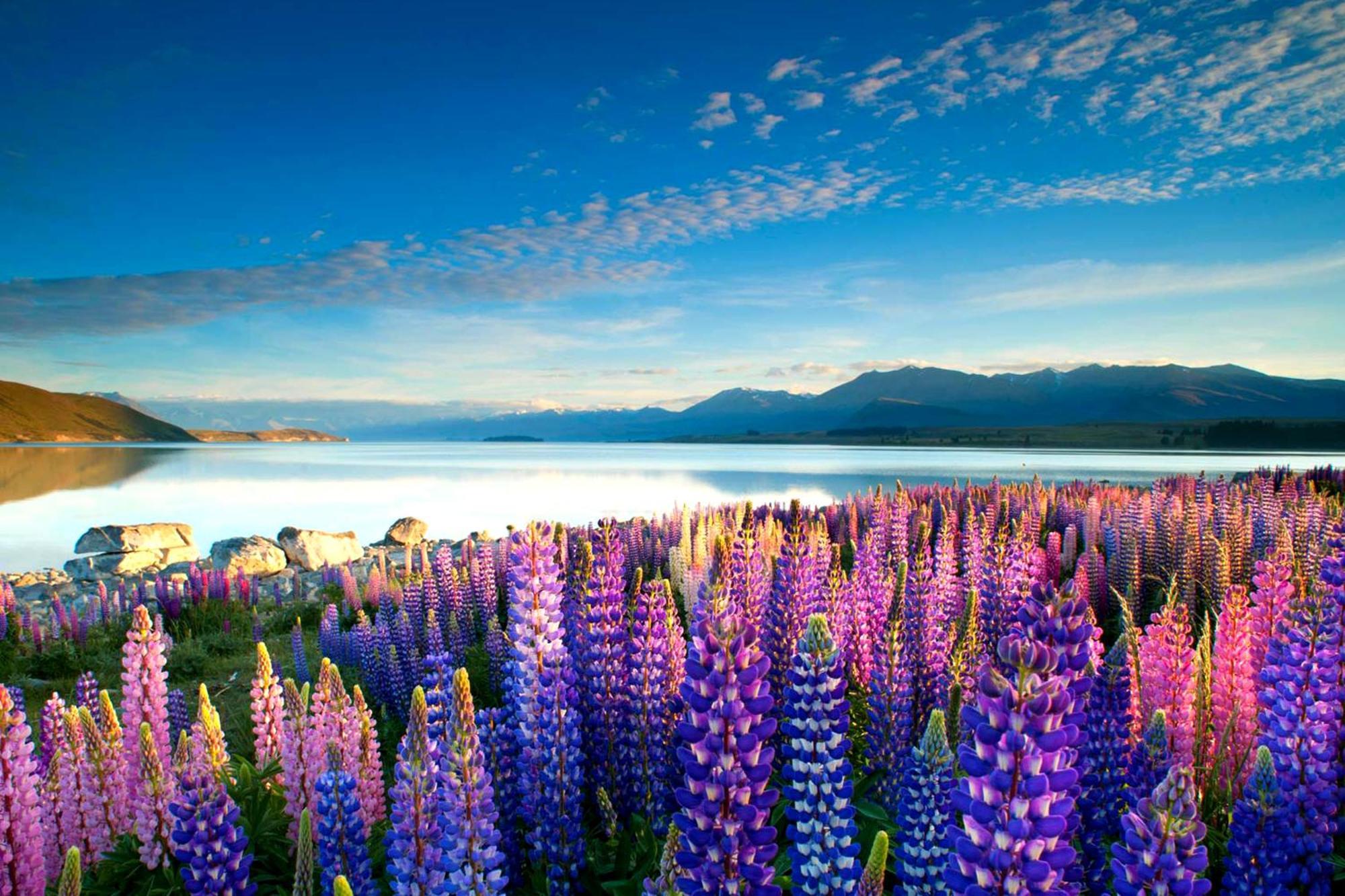 Tekapo1929 Lakefront Villa Lake Tekapo Εξωτερικό φωτογραφία